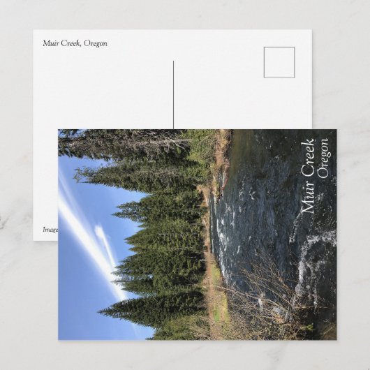 Muir Creek Postkarte (Vorne/Hinten)
