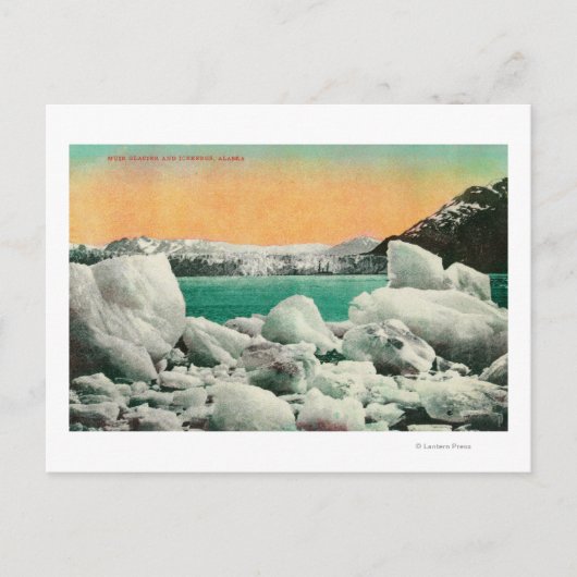 Muir Glacier und Icebergs in Alaska #1 Staat Postkarte (Vorderseite)