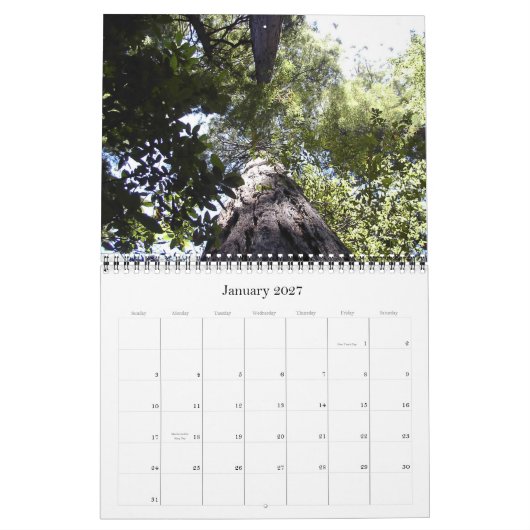 Muir Holz-Kalender Kalender (Jan 2027)