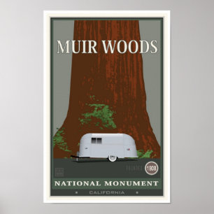 Muir Holz-nationales Monument 1 Poster