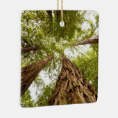 Muir Holzverzierung Keramikornament (Rechts)