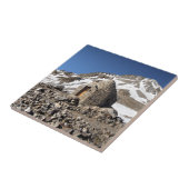 Muir Pass - John Muir Trail - Sierra Nevada Fliese (Seite)