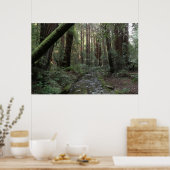 Muir Woods Bach Waldlandschaft Poster (Küche)
