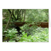 Muir Woods Bridge I (Vorderseite (Horizontal))