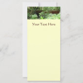 Muir Woods Bridge I (Rückseite)