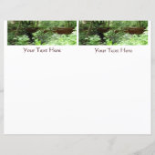 Muir Woods Bridge I (Vorderseite)