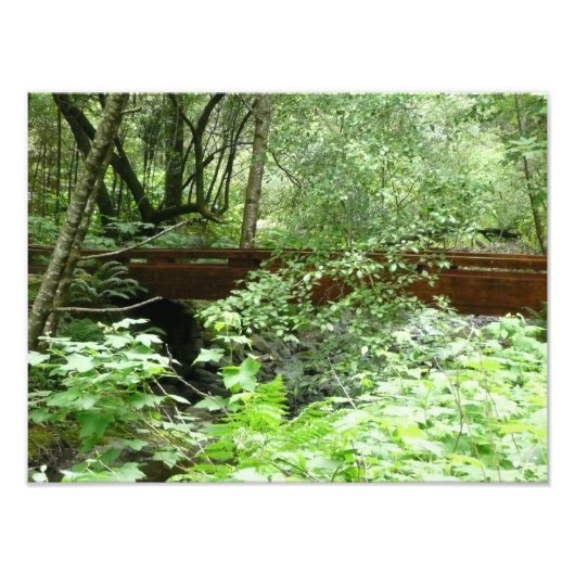 Muir Woods Bridge I Fotodruck (Vorne)