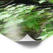 Muir Woods Bridge I Fotodruck (Ecke)