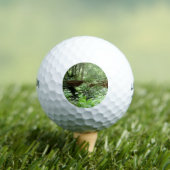 Muir Woods Bridge I Golfball (Insitu T-Shirt)