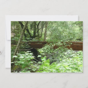 Muir Woods Bridge I Karte
