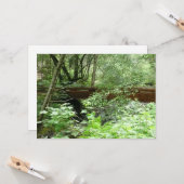 Muir Woods Bridge I Karte (Vorderseite/Rückseite Beispiel)