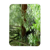 Muir Woods Bridge I Magnet (Vertikal)