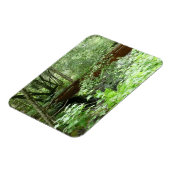 Muir Woods Bridge I Magnet (Linke Seite)