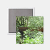 Muir Woods Bridge I Magnet (Vorderseite/Rückseite)