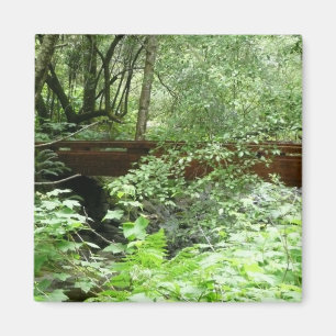 Muir Woods Bridge I Magnet