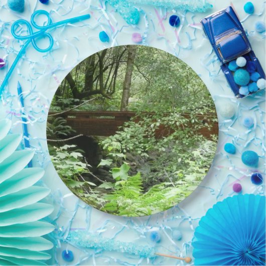 Muir Woods Bridge I Pappteller (Party)