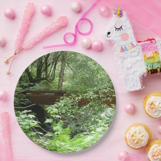 Muir Woods Bridge I Pappteller (Party)