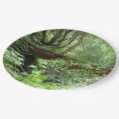 Muir Woods Bridge I Pappteller (Schrägansicht)