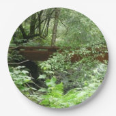 Muir Woods Bridge I Pappteller (Vorderseite)