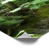 Muir Woods Bridge I Poster (Ecke)