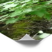 Muir Woods Bridge I Poster (Ecke)