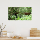 Muir Woods Bridge I Poster (Küche)