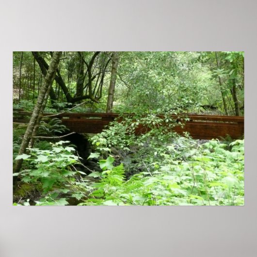 Muir Woods Bridge I Poster (Vorne)
