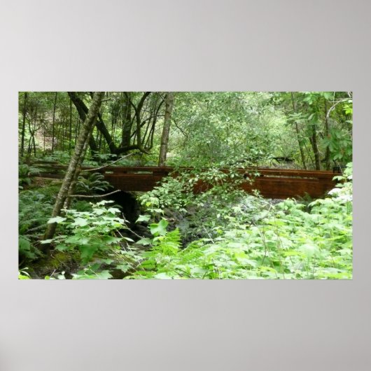 Muir Woods Bridge I Poster (Vorne)
