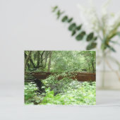 Muir Woods Bridge I Postkarte (Stehend Vorderseite)