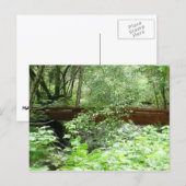Muir Woods Bridge I Postkarte (Vorne/Hinten)