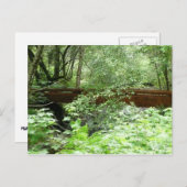 Muir Woods Bridge I Postkarte (Vorne/Hinten)