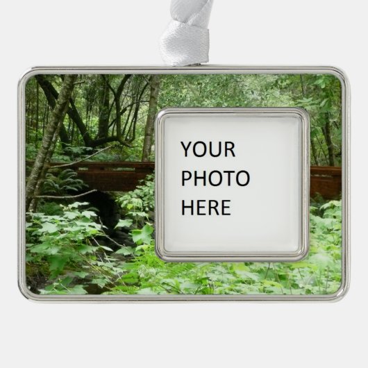 Muir Woods Bridge I Rahmen-Ornament Silber (Vorderseite)