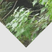 Muir Woods Bridge I Seidenpapier (Detail)