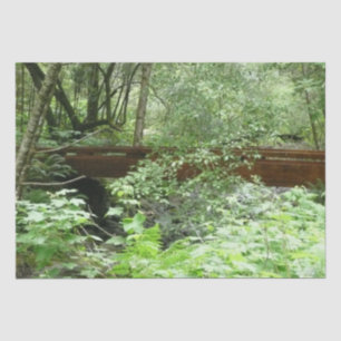 Muir Woods Bridge I Seidenpapier