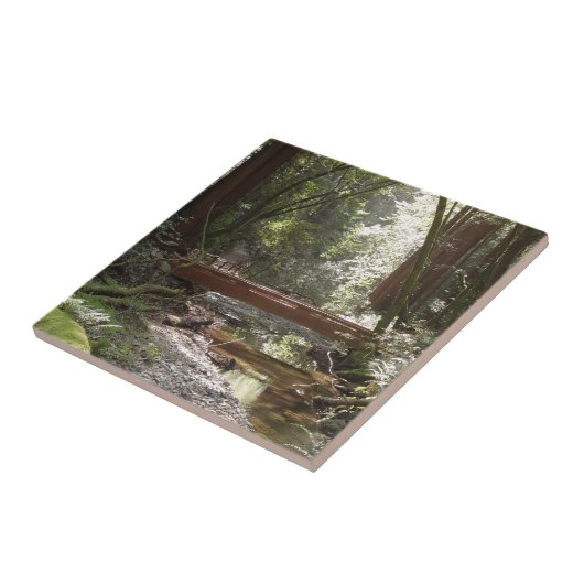 Muir Woods Bridge II Fliese (Seite)