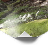 Muir Woods Bridge II Fotodruck (Ecke)