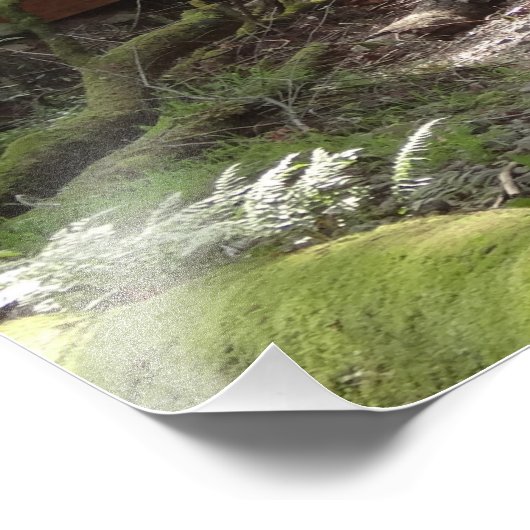 Muir Woods Bridge II Fotodruck (Ecke)