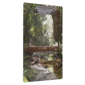 Muir Woods Bridge II Klemmbrett (Rechts)