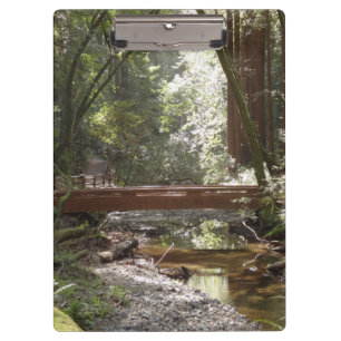 Muir Woods Bridge II Klemmbrett
