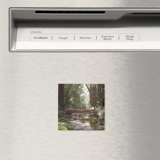 Muir Woods Bridge II Magnet (In Situ (Geschirrspüler))