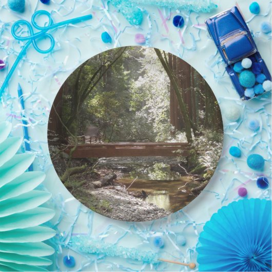 Muir Woods Bridge II Pappteller (Party)