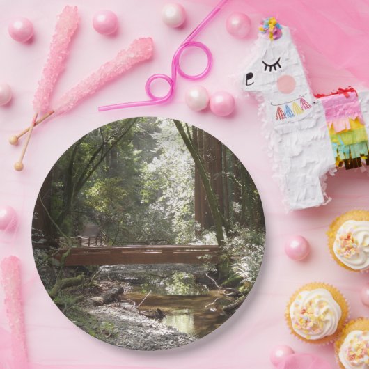 Muir Woods Bridge II Pappteller (Party)