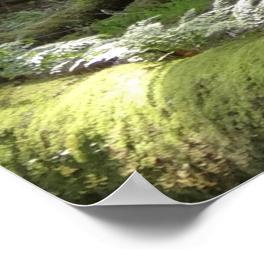 Muir Woods Bridge II Poster (Ecke)