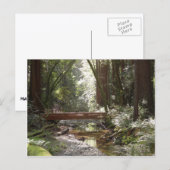 Muir Woods Bridge II Postkarte (Vorne/Hinten)