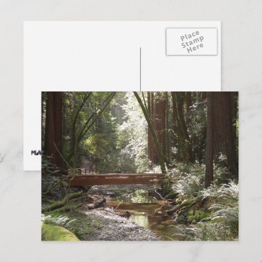 Muir Woods Bridge II Postkarte (Vorne/Hinten)