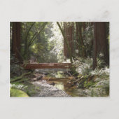 Muir Woods Bridge II Postkarte (Vorderseite)