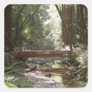 Muir Woods Bridge II Quadratischer Aufkleber