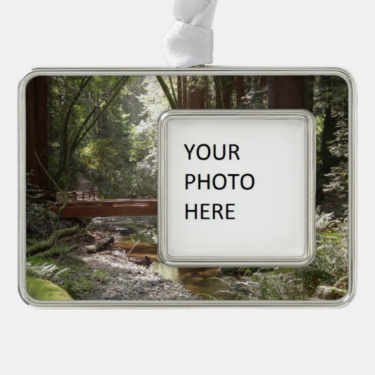 Muir Woods Bridge II Rahmen-Ornament Silber (Vorderseite)