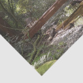 Muir Woods Bridge II Seidenpapier (Ausschnitt)