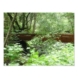 Muir Woods Brücke I Fotodruck